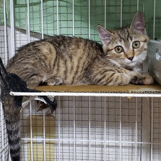 テイちゃん3ヶ月