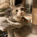 ねえねえこっち向いて！ジェリー