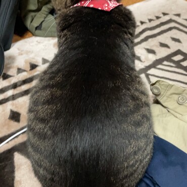 の写真