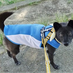 「頂き物」サムネイル1