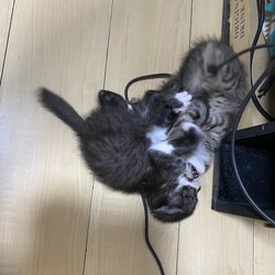 今日も元気いっぱい
