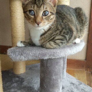 人馴れ抜群男の子