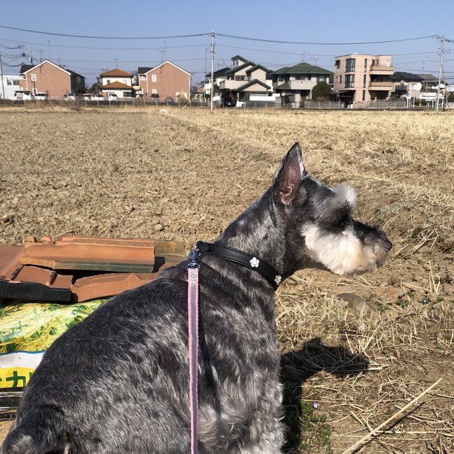 akisasukeのカバー写真
