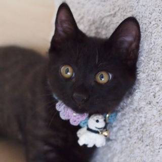 いつもご機嫌❣❣甘えん坊な輝くん❁