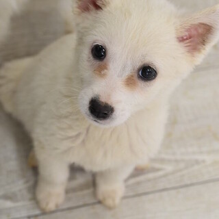 かわいいな チュッチュル ちゃん！