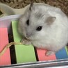 xせなx