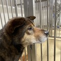 人馴れしてます、動画あります！