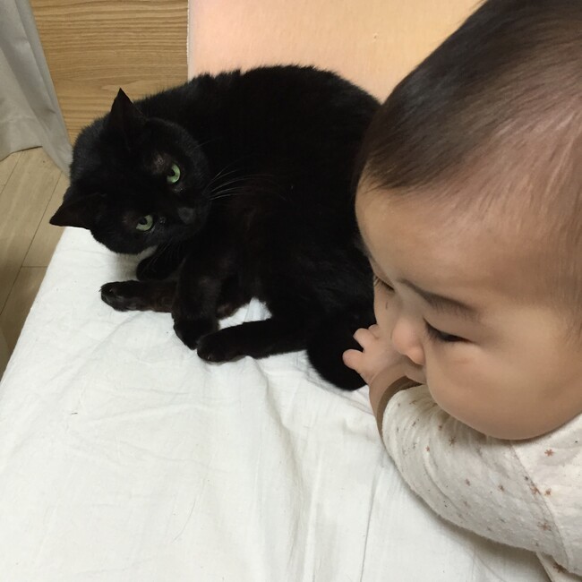 Kukikukiのカバー写真