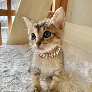 大事に育てられました♡