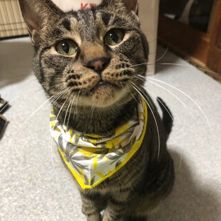 穏やかで甘えん坊さん♡じゆうくん