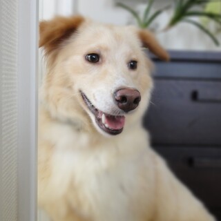 「かのん」女の子