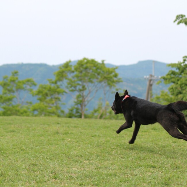 @ａｓｕｔａのカバー写真