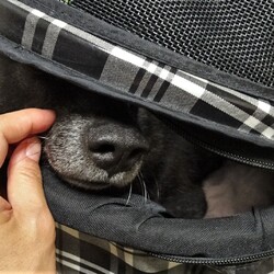 「頂き物・その２」サムネイル2