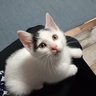 元気いっぱいな男の子
