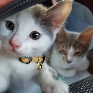 とっても仲良しでこぼこコンビ