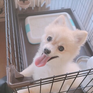 元気いっぱいです