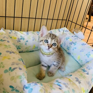ほっこり癒し系♡可愛い男の子
