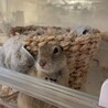 ななみん0223