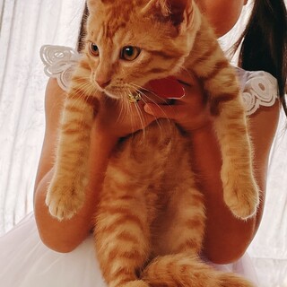 生後4ヶ月弱 手術済み 6兄妹　3/6