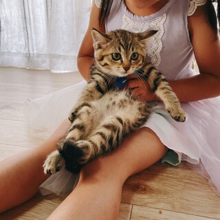 生後4ヶ月 手術済み 6兄妹　5/6