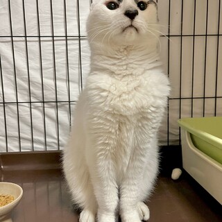 超絶甘えん坊の10歳