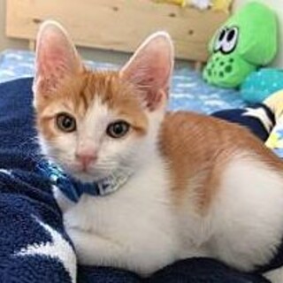 僕に会いに来てください