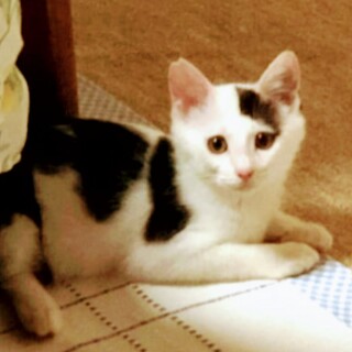 とても綺麗な　可愛い末っ子　心ちゃん