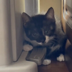 新しいお家へ