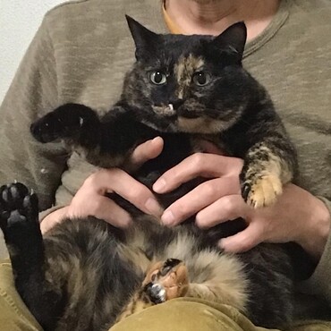 チャムちゃん、みんなで元気玉いっぱいいっぱい送るよ。