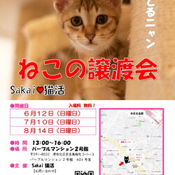 Sakai♥猫活　譲渡会（子猫祭り）