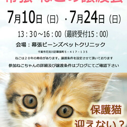 千葉市「 幕張 ねこの譲渡会」動物病院で開催です