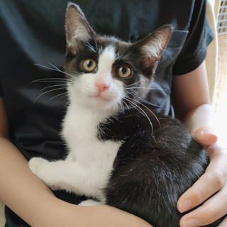 おっとり男子もんちゃんは食いしん坊です!