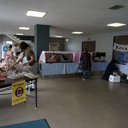 第２１回保護猫譲渡会in帝人会館 サムネイル2