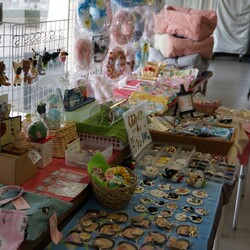 第２１回保護猫譲渡会in帝人会館 サムネイル3