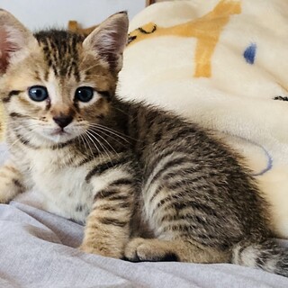 ありがとう御座いました