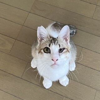 人が大好きな男の子です