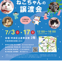 ねこざんまい譲渡会@東日本橋