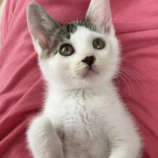 【別の場所でご縁を頂きました】性格◎お笑い担当♡