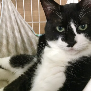 人馴れ抜群！大人の魅力たっぷりマリアンヌ♪