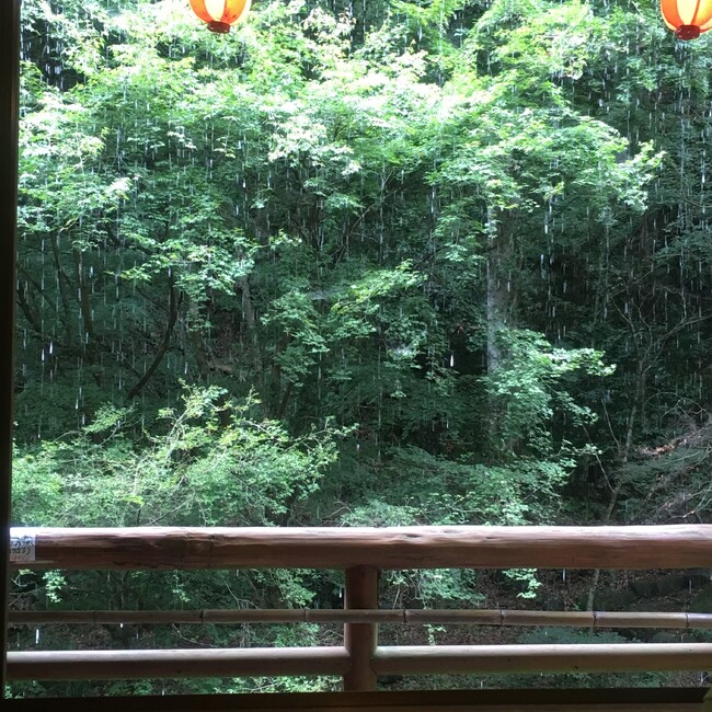 あきふじこのカバー写真