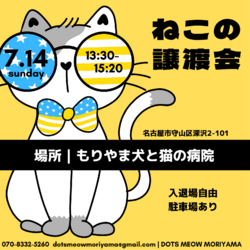 名古屋市守山区/ねこの譲渡会/0710