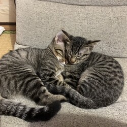 里親さんからのお写真⑦