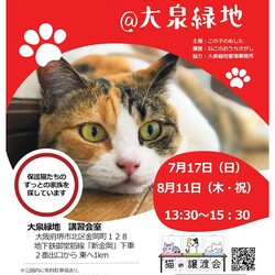 第12回☆ねこのおうちさがし@大泉緑地