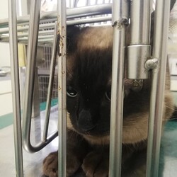 「今日は」サムネイル2