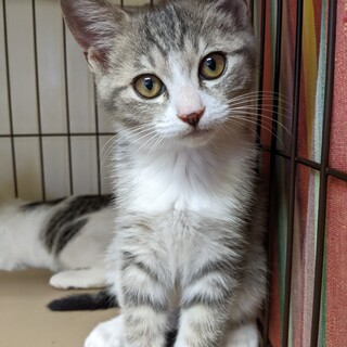 生後3ヶ月の美形王子！生粋のキング＆プリンス！！