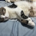 この子のことお願いいたします。