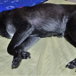 「腕組み」サムネイル1