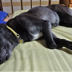 「腕組み」サムネイル2