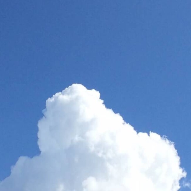 snowstoneのカバー写真