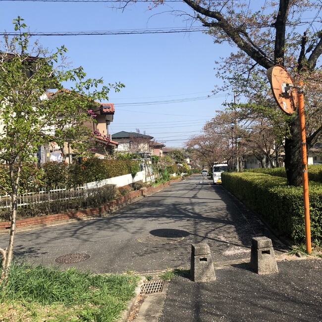 アヒルの音楽家のカバー写真